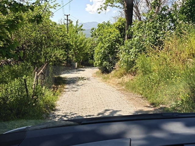 Seydikemer Girmelerde SON FIRSAT İhtiyaç,tan - Görsel 3