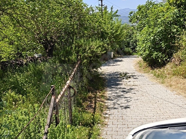 Seydikemer Girmelerde SON FIRSAT İhtiyaç,tan - Görsel 14