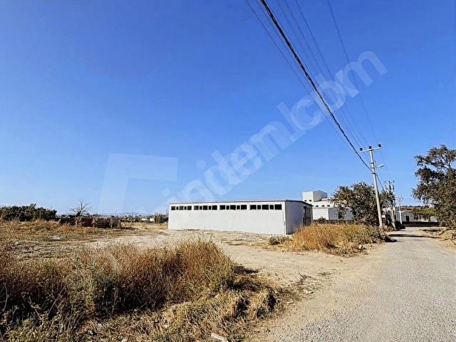 AYVALIK- SIFIR BİNA GENİŞ KİRALIK DEPO - Görsel 12