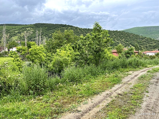 ANT GAYRİMENKUL TOKAT TURHAL ÇAYLI KÖYÜ KÖYİÇİ SATILIK ARSA - Görsel 2