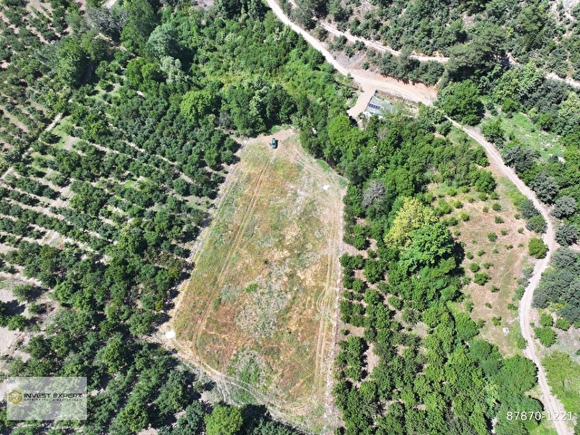 BAYRAMİÇ SERHAT KÖYÜ PANORAMİK KAZDAĞLARI MANZARALI 4.807 m² - Görsel 15