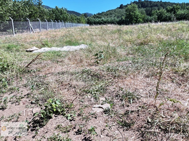BAYRAMİÇ SERHAT KÖYÜ PANORAMİK KAZDAĞLARI MANZARALI 4.807 m² - Görsel 3