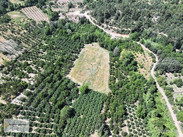 BAYRAMİÇ SERHAT KÖYÜ PANORAMİK KAZDAĞLARI MANZARALI 4.807 m² - Görsel 14