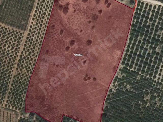 Sahibinden Otoban ve Sulama Kanalına Yakın Satılık Yatırımlık Arsa - Görsel 2