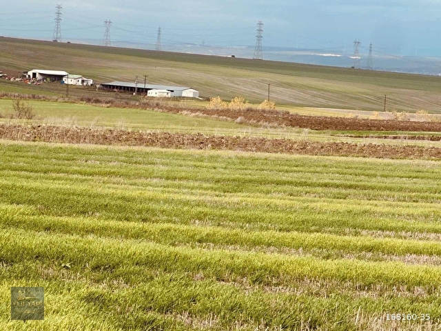 tekirdağ saray çukuryurtta kelepir arsa yatırımlık - Görsel 9