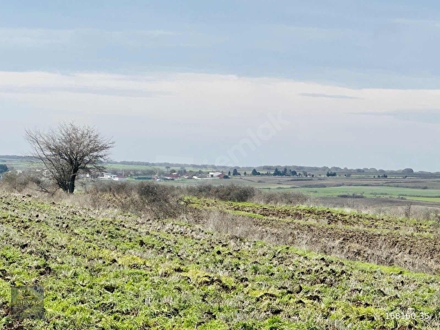 tekirdağ saray çukuryurtta kelepir arsa yatırımlık - Görsel 10