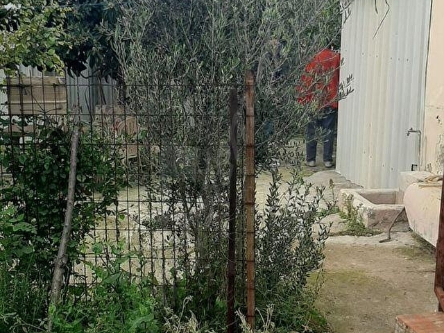 Bayramiç Yahşieli Satılık