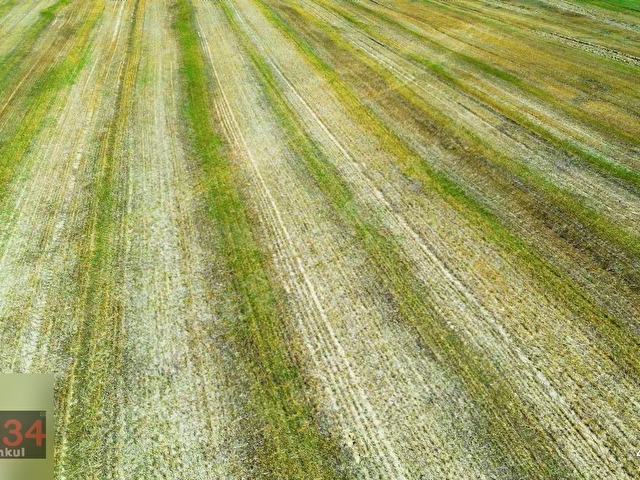 Yerleşim Yerlerine Yakın Satılık 5908 m2 Yola Cepheli Tarla - Görsel 9