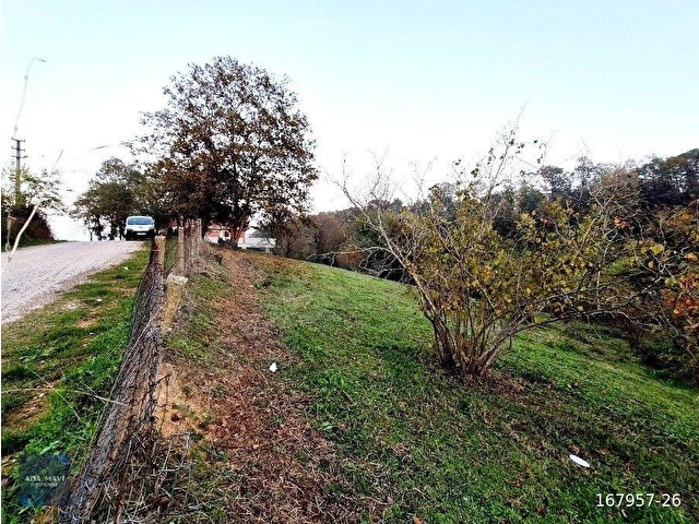 SAKARYA KARAPÜRÇEK MESUDİYE MAHALLE MERKEZİNDE SATILIK TARLA - Görsel 5
