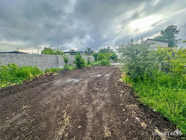 1056 m2 Arsa + 200 m2 MÜSTAKİL EV - Görsel 4
