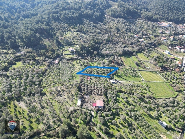 Kuşadası Kirazlıda fırsat bahçe - Görsel 6