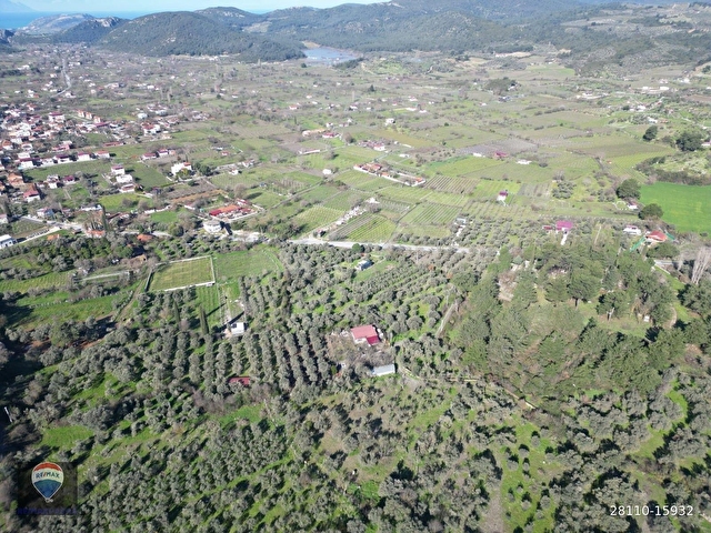 Kuşadası Kirazlıda fırsat bahçe - Görsel 24