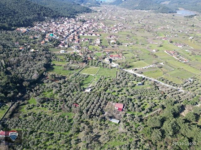 Kuşadası Kirazlıda fırsat bahçe - Görsel 17
