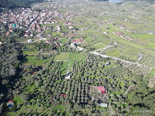 Kuşadası Kirazlıda fırsat bahçe - Görsel 23