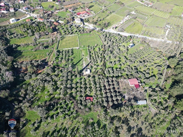 Kuşadası Kirazlıda fırsat bahçe - Görsel 16