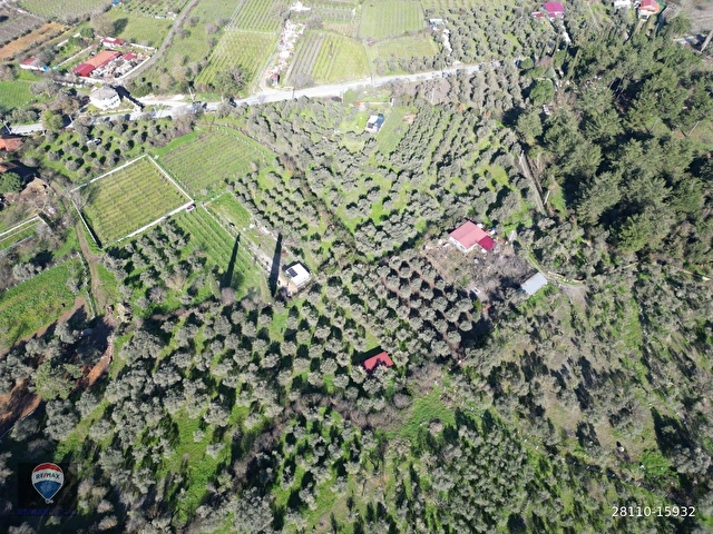 Kuşadası Kirazlıda fırsat bahçe - Görsel 20