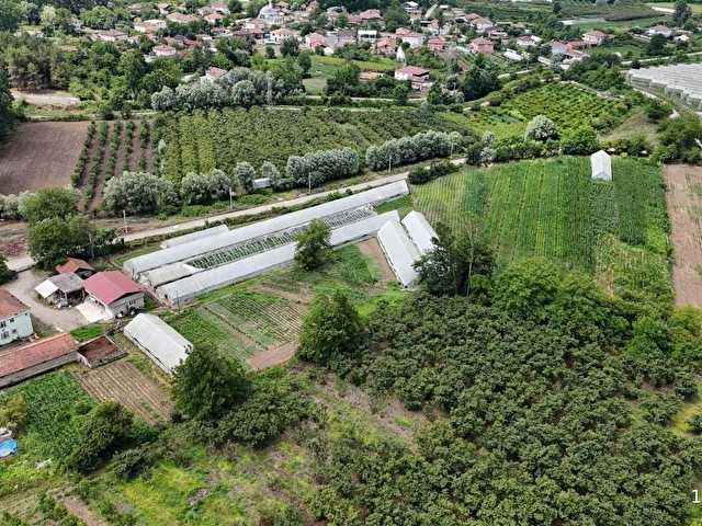 LOJİSTİK MERKEZE VE TARIMSAL TİCARİ FAALİYETE UYGUN ARAZİ - Görsel 12