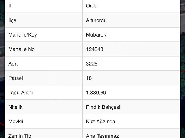 ordu mübarek köyü anayol kenarı 2 parsel bahçe arasizi - Görsel 3