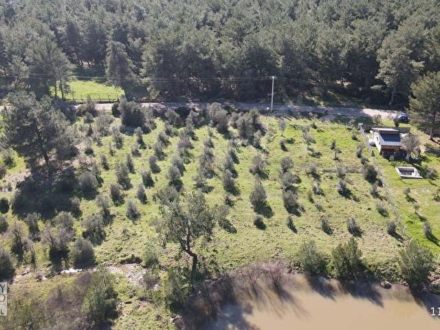 Urla Zeytinlerde Elektriği Hazır 967 m2 Satılık Arsa - Görsel 12