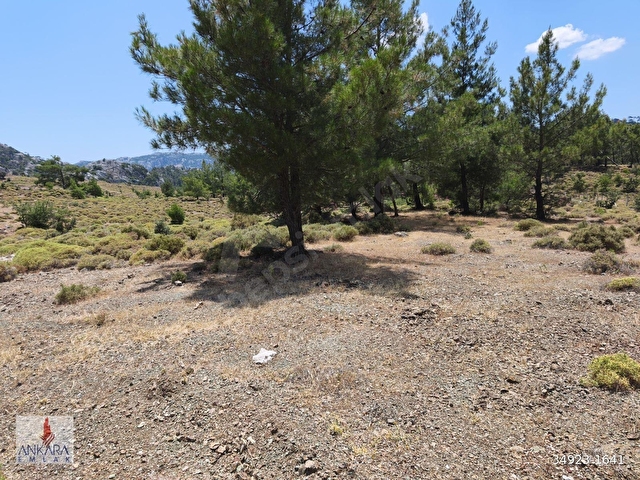 Marmaris Osmaniye de Yol kenarı İmarlı 7800 m2 Arsa - Görsel 17
