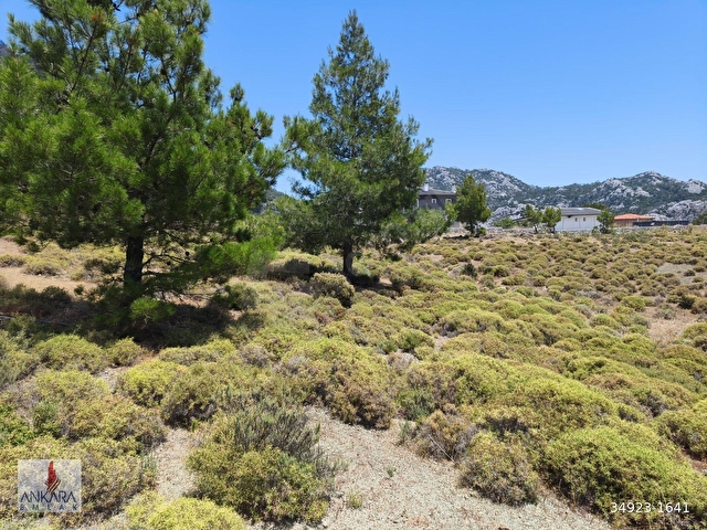 Marmaris Osmaniye de Yol kenarı İmarlı 7800 m2 Arsa - Görsel 12