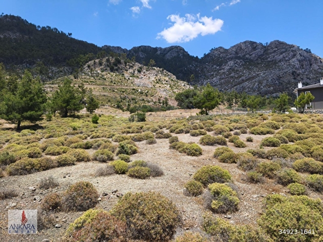 Marmaris Osmaniye de Yol kenarı İmarlı 7800 m2 Arsa - Görsel 20