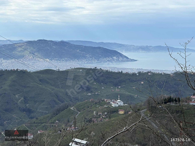 KİP GAYRİMENKUL OSMANİYE MAH.3.816m2 İÇİNDE EV VE FINDIK BAHÇESİ