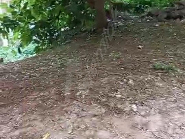 Merkez Gemilerçekeği Satılık