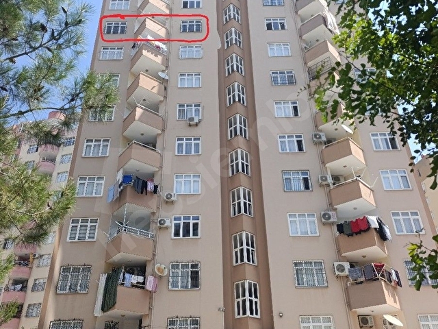 Adana Koop şırdanci cumali civarı 3+1 cepheri açık geniş ferah bir daire - Görsel 19