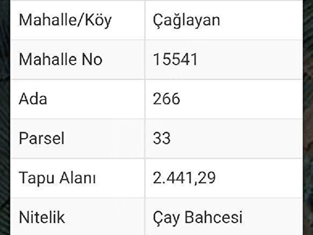 Rize Kalkandere Çağlayan köyü(Nizamın dağı)ında satılık çay bahçesi - Görsel 6