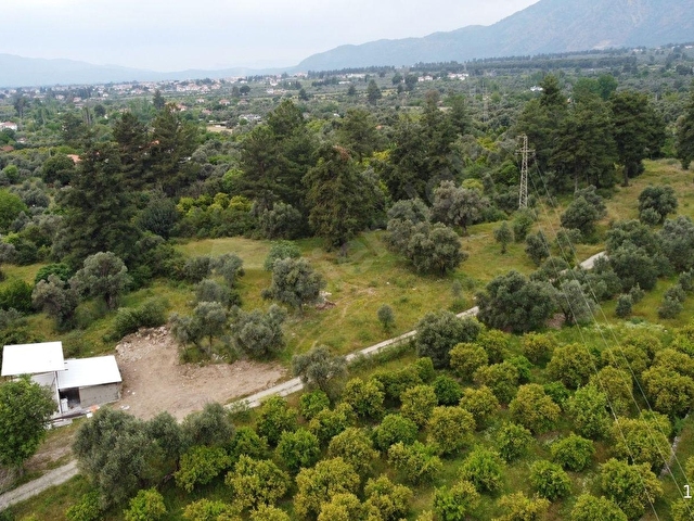 Atam Emlaktan Yangıda Satılık Yerleşimde 1000 M2 Tarla - Görsel 13