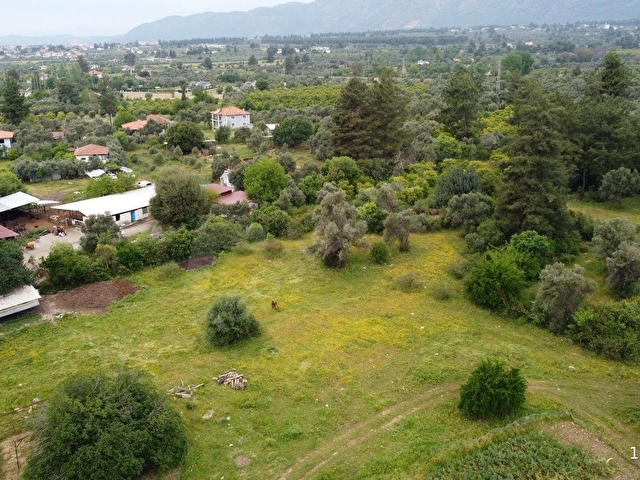 Atam Emlaktan Yangıda Satılık Yerleşimde 1000 M2 Tarla - Görsel 19