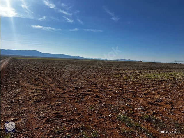 KAZIMKARABEKİR İLÇESİNDE,41 DÖNÜM,102690 M2,ELEKTRİK KUYULU SATILIK TARLA - Görsel 12