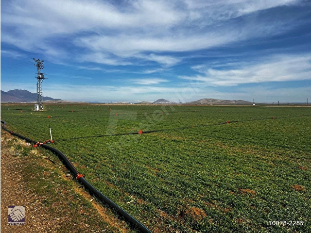 KAZIMKARABEKİR İLÇESİNDE,41 DÖNÜM,102690 M2,ELEKTRİK KUYULU SATILIK TARLA - Görsel 16