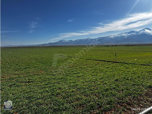 KAZIMKARABEKİR İLÇESİNDE,41 DÖNÜM,102690 M2,ELEKTRİK KUYULU SATILIK TARLA - Görsel 9