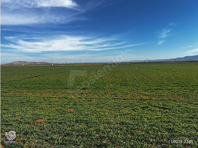 KAZIMKARABEKİR İLÇESİNDE,41 DÖNÜM,102690 M2,ELEKTRİK KUYULU SATILIK TARLA