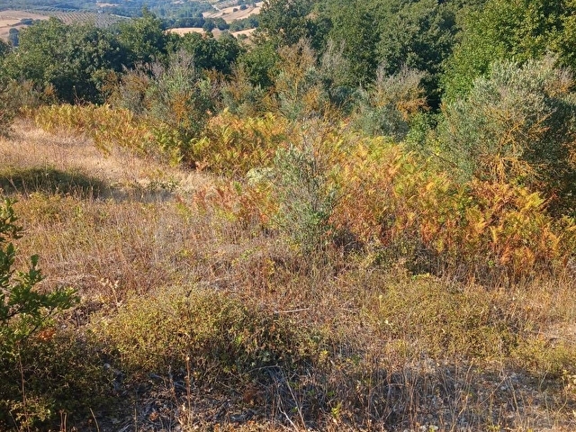 Sahibinden satılık - Görsel 9