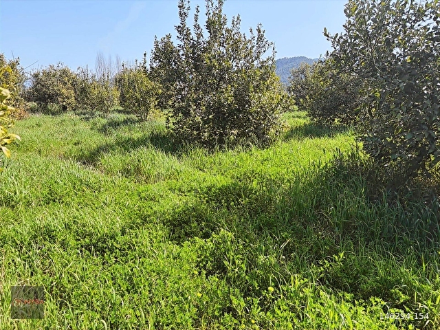 NYSA EMLAKTAN SATILIK 477 M2 SATILIK HİSSELİ TARLA - Görsel 2