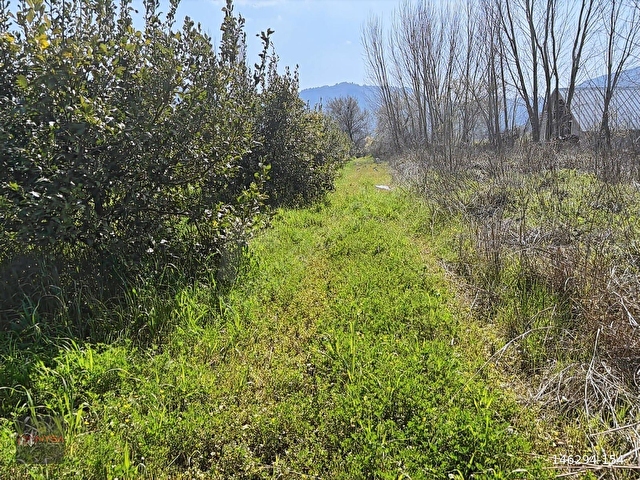 NYSA EMLAKTAN SATILIK 477 M2 SATILIK HİSSELİ TARLA - Görsel 6