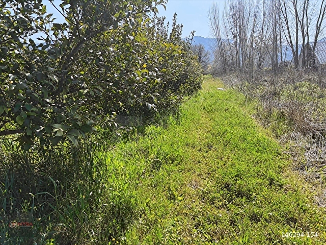 NYSA EMLAKTAN SATILIK 477 M2 SATILIK HİSSELİ TARLA - Görsel 8