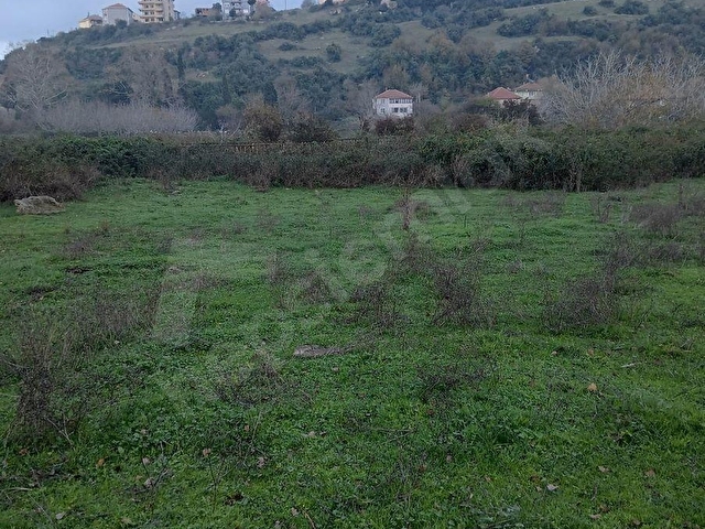GELİŞEN FİLYOSTA  İMARA AÇIK SATILIK ARSA #regahomes - Görsel 7