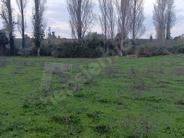 GELİŞEN FİLYOSTA  İMARA AÇIK SATILIK ARSA #regahomes - Görsel 8