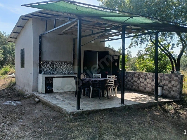 DERBENT MAH YATIRIMLIK ZEYTİNLİK TARLASI - Görsel 17