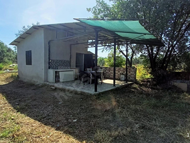 DERBENT MAH YATIRIMLIK ZEYTİNLİK TARLASI - Görsel 2