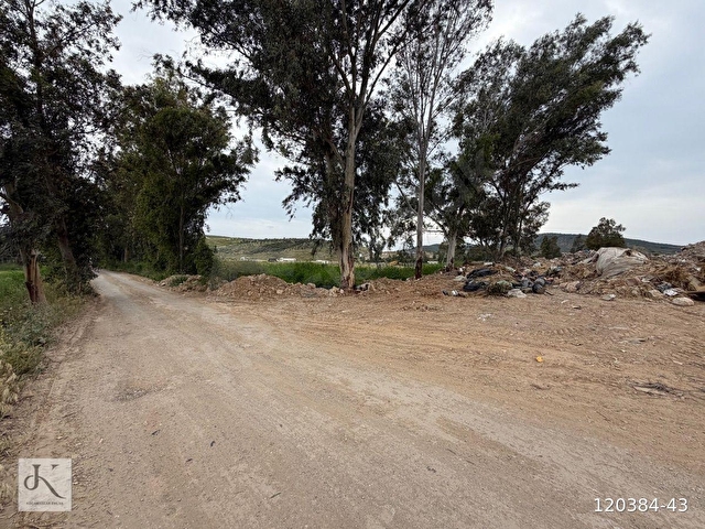 Milas Bodrum yol üzeri Rüyapark avm projesi arkası satılık tarla