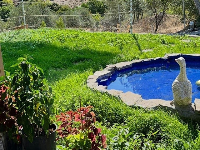 Şakranda eşsiz doğa ile iç içe satılık çiftlik evi - Görsel 11