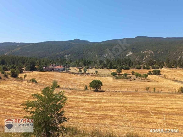 KARABÜK,YÖRÜKKÖYÜNDE KASTAMONU YOLU ÜZERİ SATILIK ÇİFTLİK - Görsel 3