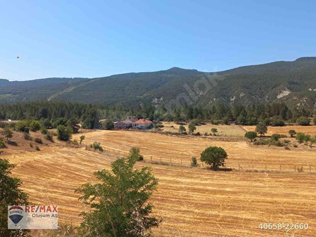 KARABÜK,YÖRÜKKÖYÜNDE KASTAMONU YOLU ÜZERİ SATILIK ÇİFTLİK - Görsel 2