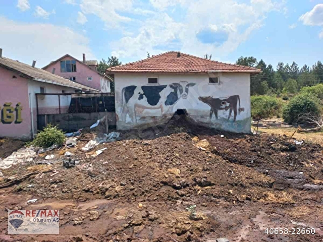 KARABÜK,YÖRÜKKÖYÜNDE KASTAMONU YOLU ÜZERİ SATILIK ÇİFTLİK - Görsel 17