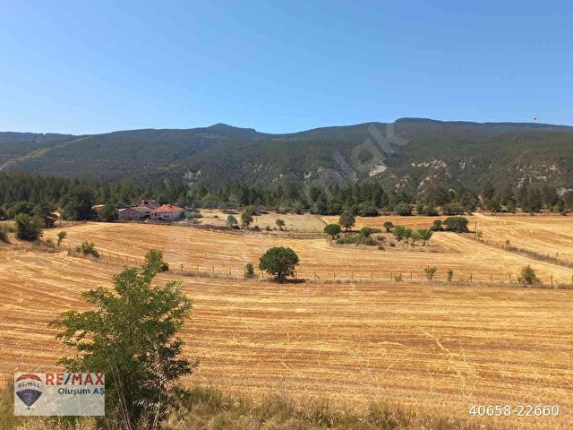 KARABÜK,YÖRÜKKÖYÜNDE KASTAMONU YOLU ÜZERİ SATILIK ÇİFTLİK - Görsel 4